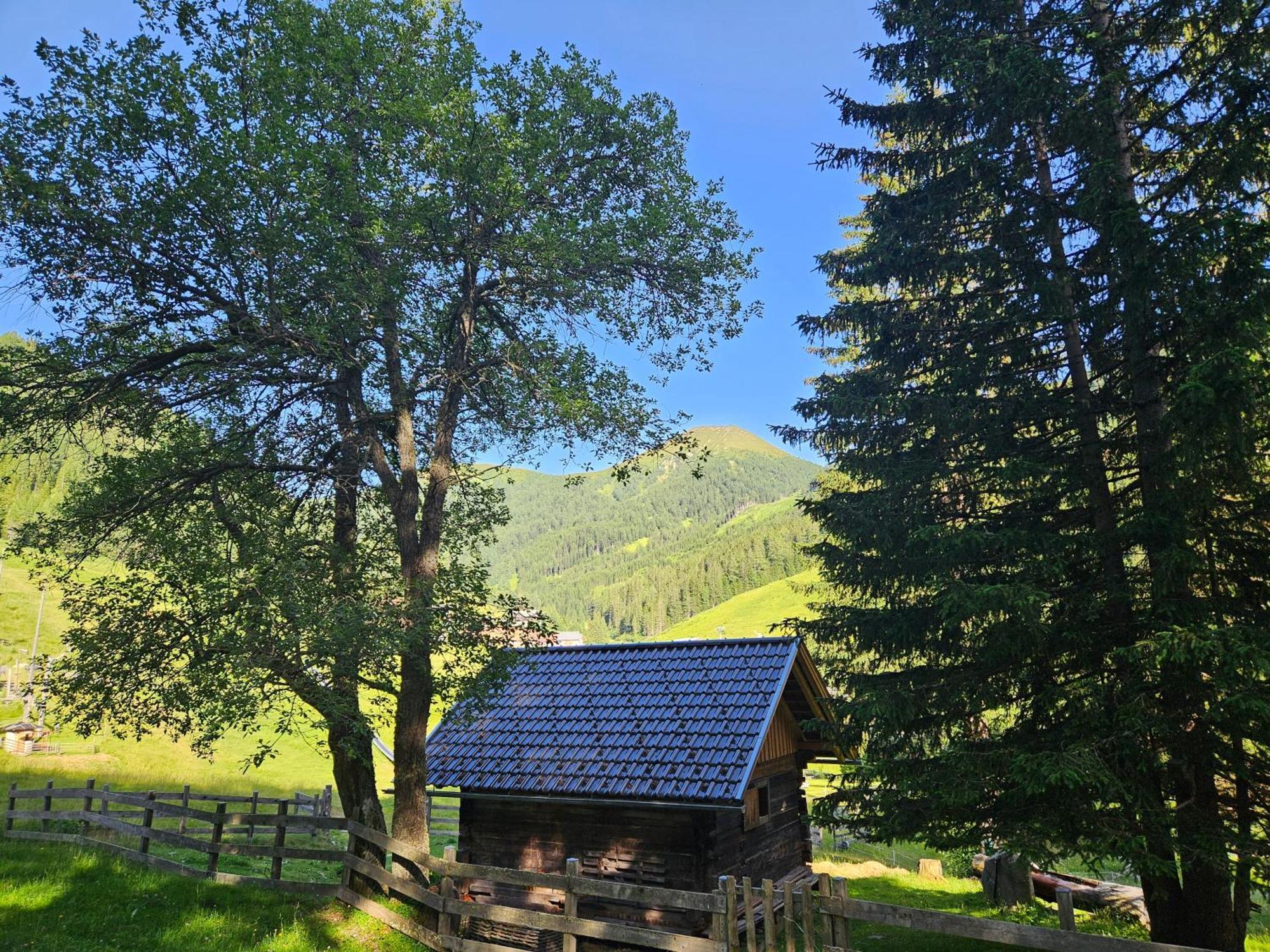 Kinder- Und Familienhotel Nockalm อินเนอร์เคร็มส์ ภายนอก รูปภาพ